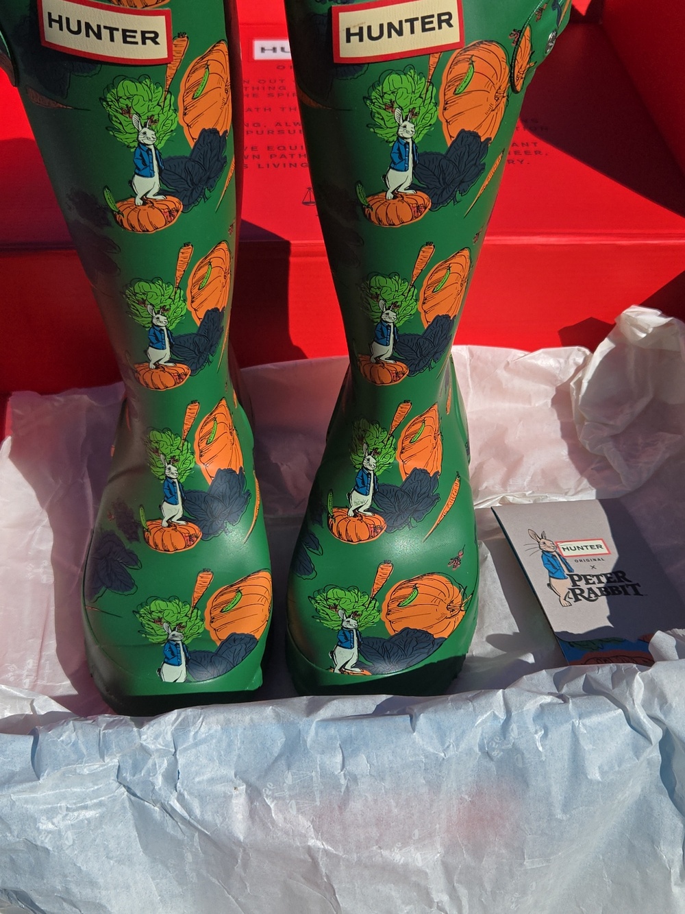 NIB Peter Rabbit Hunter Boots - Picture 2 of 9